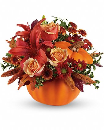 Autumn&#039;s Joy