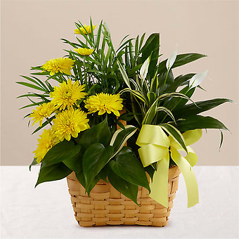 Loving Light Garden Basket