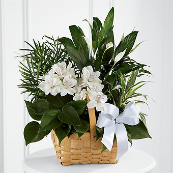 Peace &amp; Serenity Garden Basket